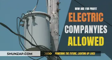 Electric Companies: Profit Over People?