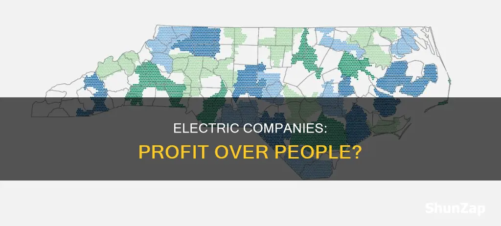 how are for profit electric companyies allowed
