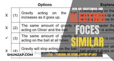 The Similar Forces: Electric and Gravitational Fields