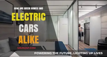 Green Homes, Electric Cars: Sustainable Living's Twin Pillars of Innovation