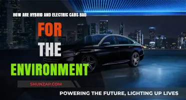 Hybrid and Electric Cars' Hidden Environmental Costs: A Critical Look