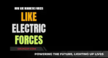 Magnetic and Electric Forces: Similarities in Nature and Beyond