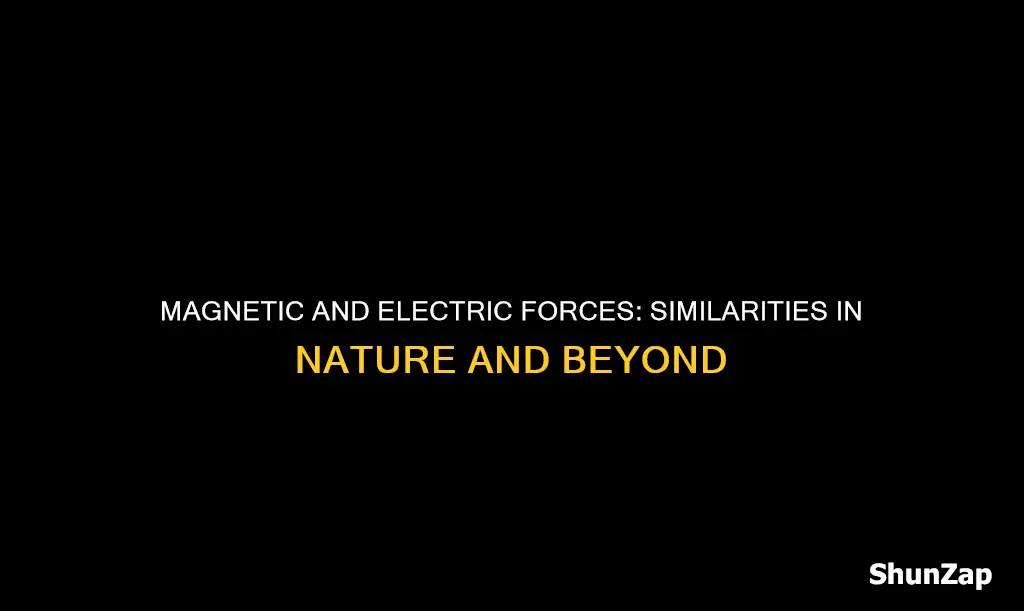 how are magnetic forces like electric forces
