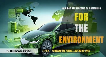 Electric Car Batteries: Environmental Impact and Sustainability Concerns Explored