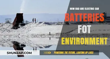 Electric Car Batteries: Environmental Impact and Sustainability Concerns Explored