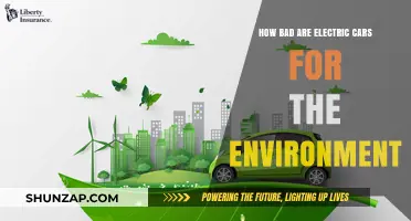 Electric Cars' Environmental Impact: Separating Myths from Real Concerns