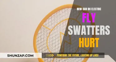 The Painful Truth About Electric Fly Swatters