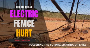 Electric Fence Shocks: How Painful Are They Really?