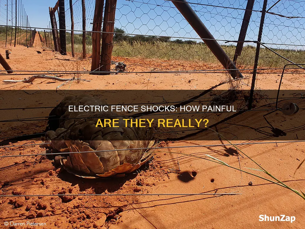 how bad does an electric femce hurt