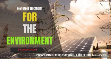 Electricity's Environmental Impact: How Harmful is it?