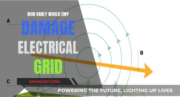 Electrical Grid's Vulnerability to EMP: A Catastrophic Scenario