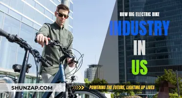 Electric Bike Revolution: US Market Size and Scope