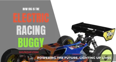 The Electric Racing Buggy: How Big Are These Machines?
