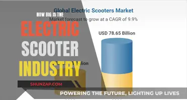 Electric Scooters: A Multi-Billion Dollar Industry's Size