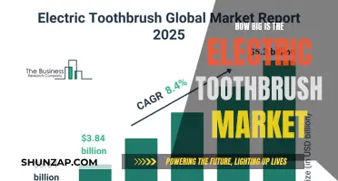 Electric Toothbrush Market Size: Global Overview
