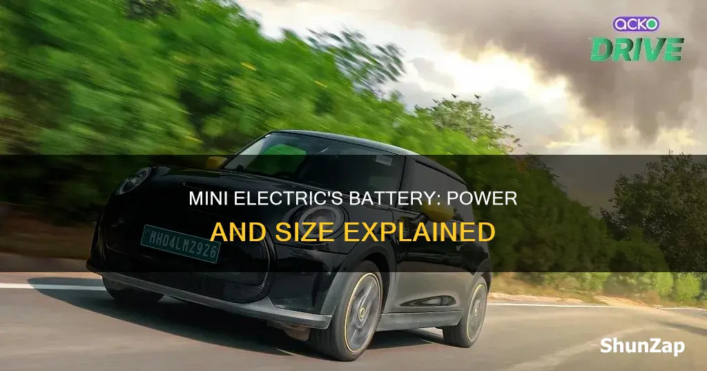 how big is the mini electrics battery