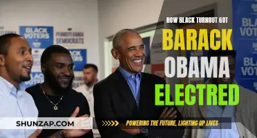 Black Turnout: Obama's Electoral Success Formula