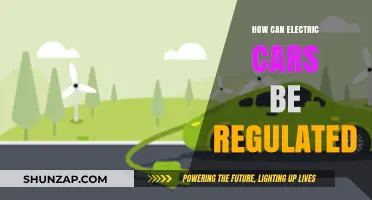 Regulating Electric Vehicles: Policies for a Sustainable and Safe Future