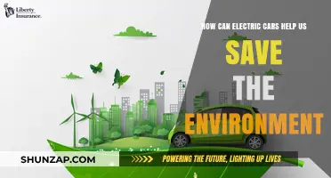 Electric Cars: A Sustainable Solution to Protect Our Environment