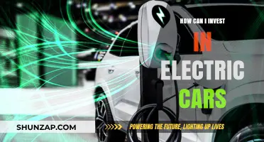 Investing in Electric Vehicles: Smart Strategies for a Sustainable Future