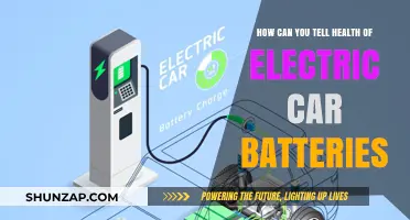 Assessing Electric Car Battery Health: Key Indicators and Maintenance Tips
