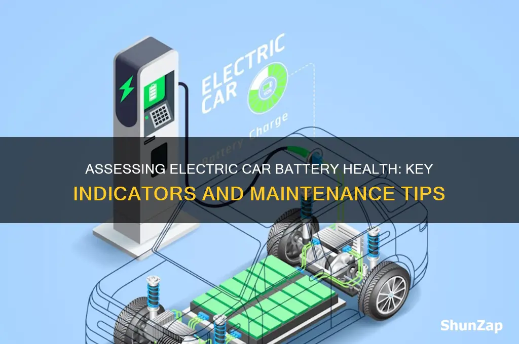 how can you tell health of electric car batteries