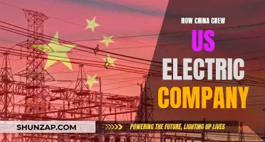 China's Electric Ambitions: Powering the World, Influencing Markets