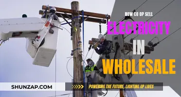 Co-op's Wholesale Electricity: A Sustainable Energy Revolution