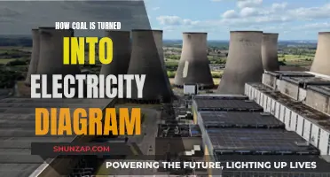 The Conversion Process: Coal to Electricity