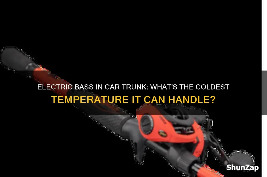 how cold is too cold electric bass in car trunk