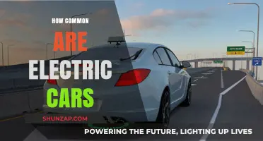 Electric Cars: How Common Are They on Today's Roads?