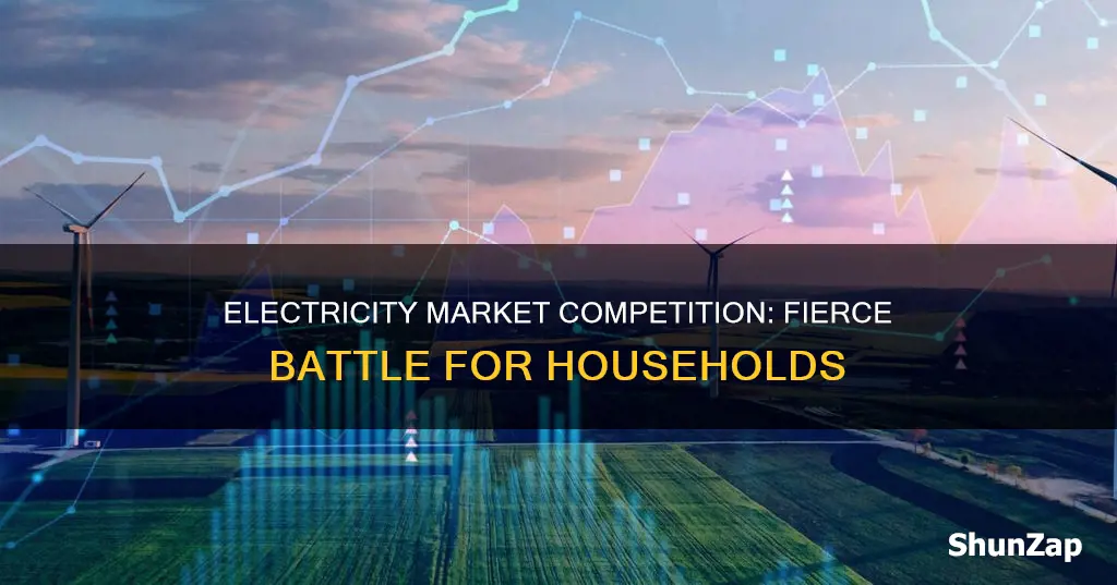 how competetive is the household electricity market