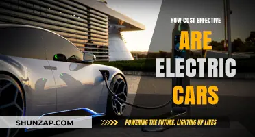 Electric Cars: Cost-Effective Choice or Expensive Investment?