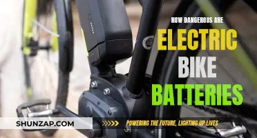 Electric Bike Batteries: A Hidden Danger?