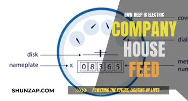 Electric Company House Feed: How Deep Does It Go?