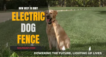 The Best Depth for Electric Dog Fences: Safe and Secure