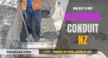 Burying Electrical Conduit: How Deep Should Kiwis Go?