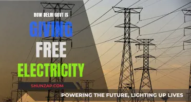 Free Power: Delhi's Gift to its People