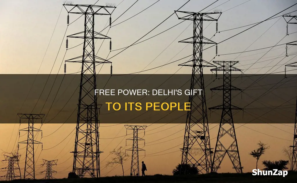how delhi govt is giving free electricity