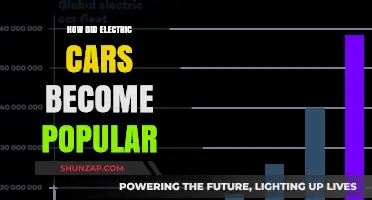 The Rise of Electric Cars: A Journey to Mainstream Popularity