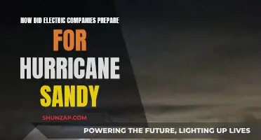 Electric Companies' Resilience Against Hurricane Sandy