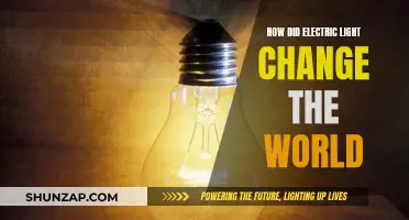 Electric Lights: A World-Changing Invention and Its Legacy