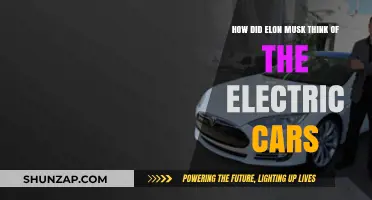Elon Musk's Vision: The Birth of Electric Cars Revolution