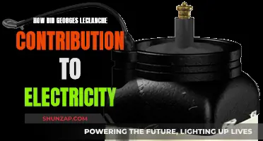 Leclanche's Electric Legacy: Powering the World