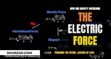 The Electric-Gravity Conundrum: How Did Gravity Triumph?