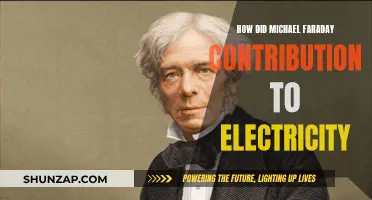 Michael Faraday's Electric Legacy: A Historical Perspective
