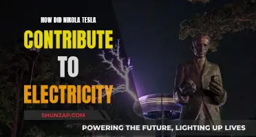 Nikola Tesla's Electric Legacy: His Greatest Contributions