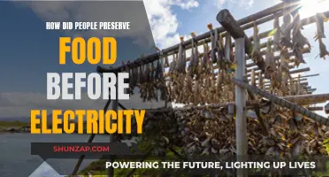 Preserving Food in Pre-Electricity Times: Ancient Techniques Unveiled
