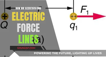 The Discovery of Electric Force Lines: A Historical Perspective