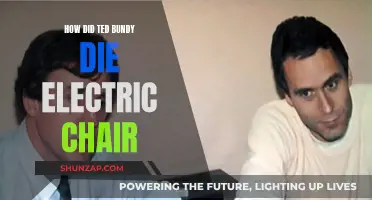 Ted Bundy's Death: Electric Chair Execution